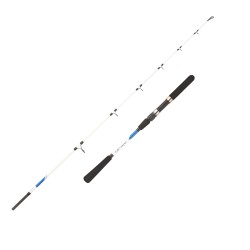 Mitchell Riptide Spinning Sea Fishing CAnna 2 Sections