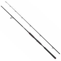 Abu Garcia Beast Spinning Rod Pike Fishing Rods Spinning Special Pike