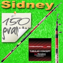 Casting fishing rod-Sidney