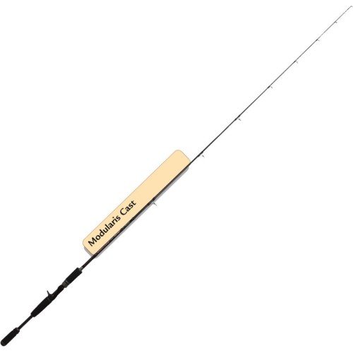 One-Carbon Cast fishing rod Alcedo Modularis Alcedo