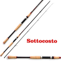 Spinning Rod in carbon 3 mt Action 30 gr