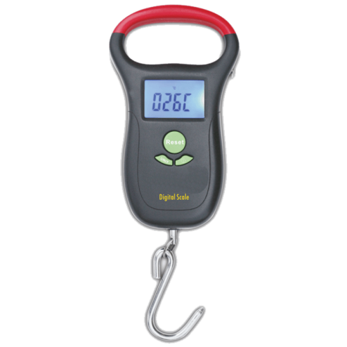 Digital scale capacity 25 kg weighs Fish Lineaeffe