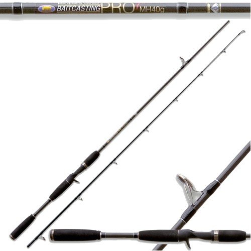 Fishing rod Bait Casting Pro Spinning 60 Gr Lineaeffe