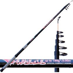 Fishing rod Vigor 100 Hardcore action-200 gr