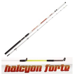 2-piece Carbon fishing rod Halcyon Strong Boat