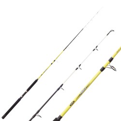 Ahiga Sugoi Fishing Rod for Light Coastal Trolling 12 lb