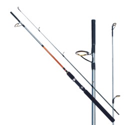 Fishing Rod HiShoot Action 15 - 30 Lb