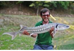 Wie man Störe in einem Teich fischt