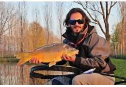 Feederfischen: die besten Montagen, Grundfutter und Köder für den See