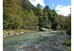 Angeln im Trentino am Fluss Sarca: die besten Tipps für viel Spaß!