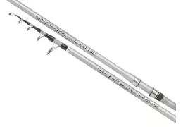 Welche Surfcasting-Angelruten kaufen?