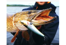 Umbrien und Spinnfischen
